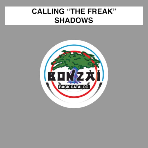 Shadows封面