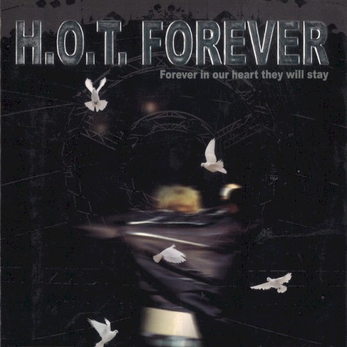 H.O.T. Forever 2001 Live Concert封面