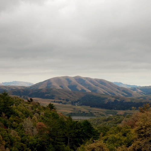 Mount Wittenberg Orca封面