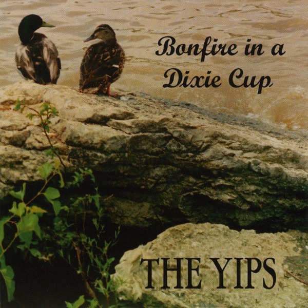 Bonfire in a Dixie Cup封面