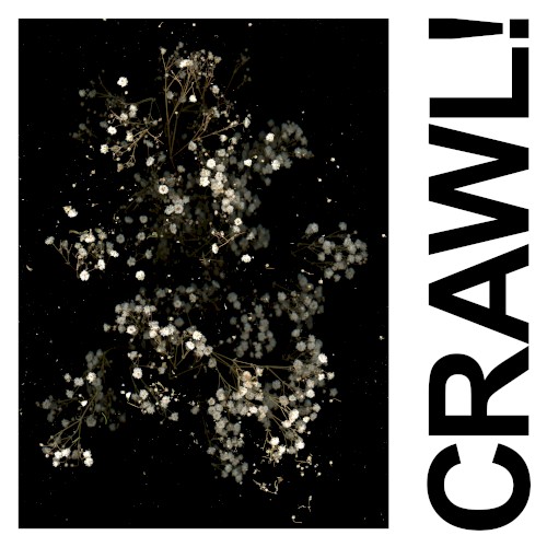Crawl! (DGG Edit)封面