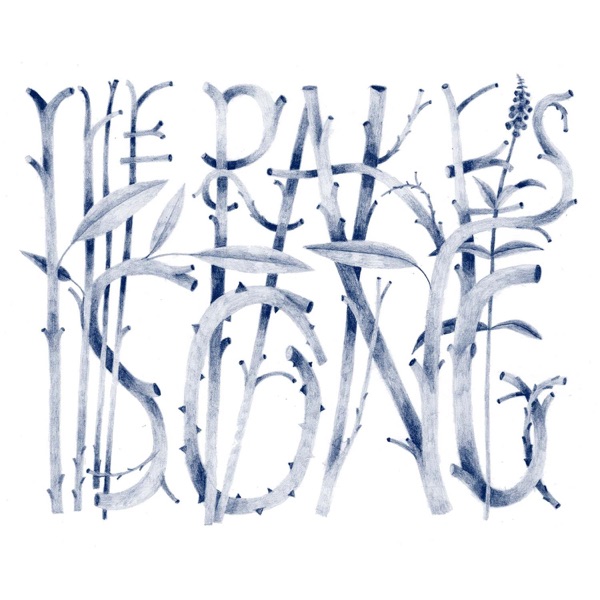 The Rake's Song封面