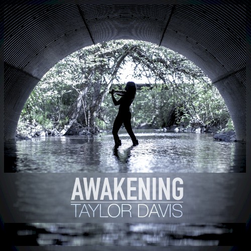 Awakening封面