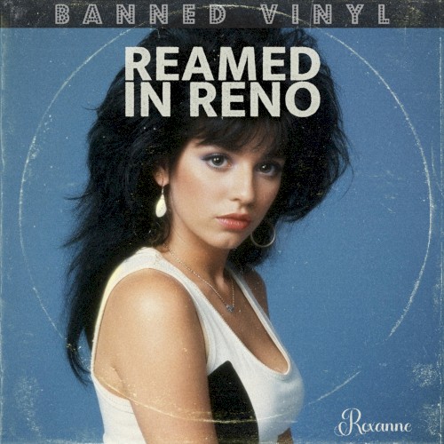 Reamed in Reno封面