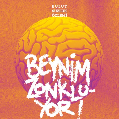 Beynim Zonkluyor封面