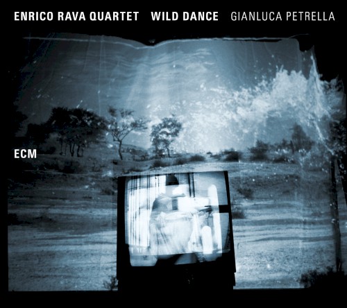 Wild Dance封面
