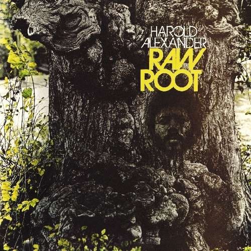 Raw Root封面