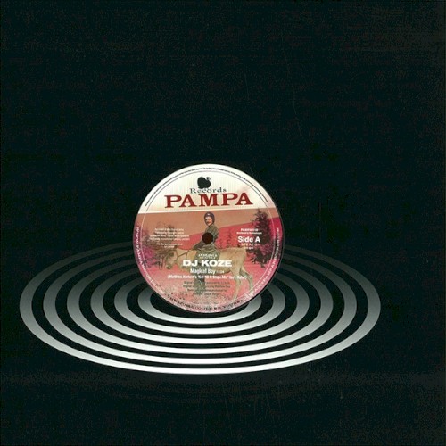 Amygdala Remixes封面