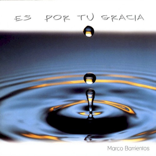 Es por tu gracia封面