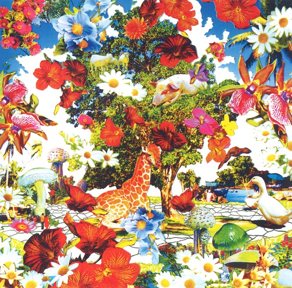 Wild Flowers封面