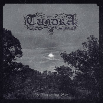 The Darkening Sky封面