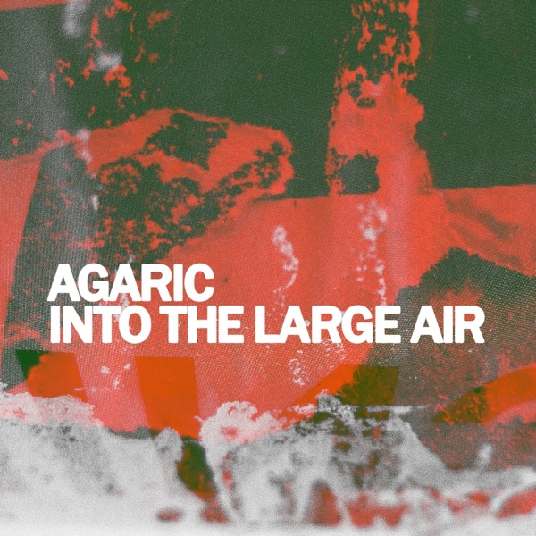 Into The Large Air封面