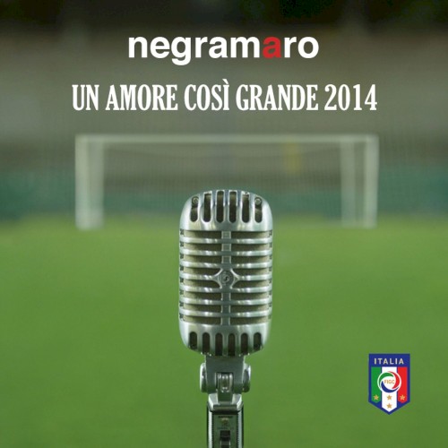 Un amore così grande 2014封面