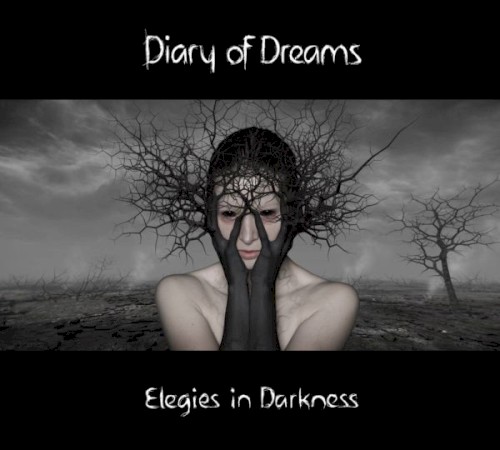 Elegies in Darkness封面