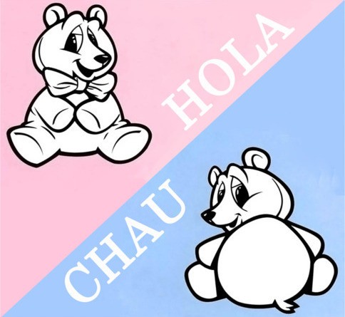 Hola/Chau封面