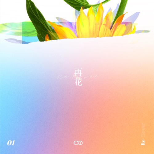 [Re:flower] PROJECT #1封面