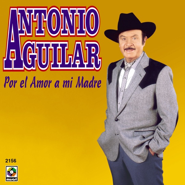 Por el amor a mi madre封面