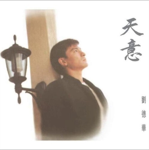 天意封面