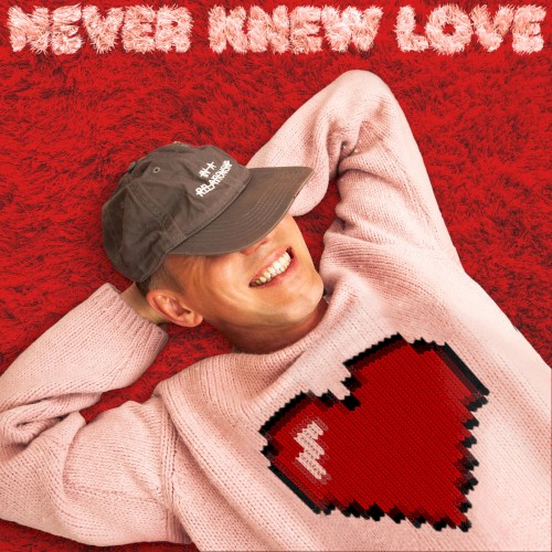 Never Knew Love封面