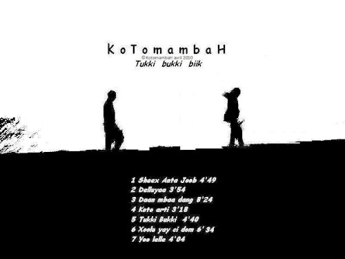 Tukki Bukki Biik (The Very Fast Trip In One Night)封面
