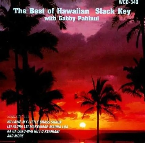 The Best of Hawiian Slack Key封面