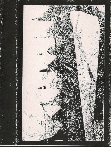 Triomphe de la volonte封面