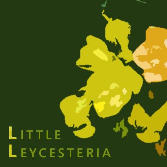 Little Leycesteria封面