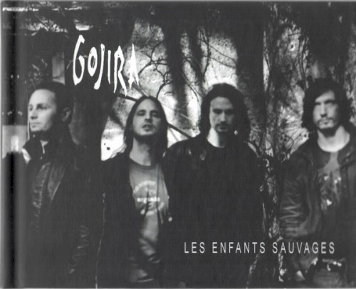 Les Enfants sauvages封面