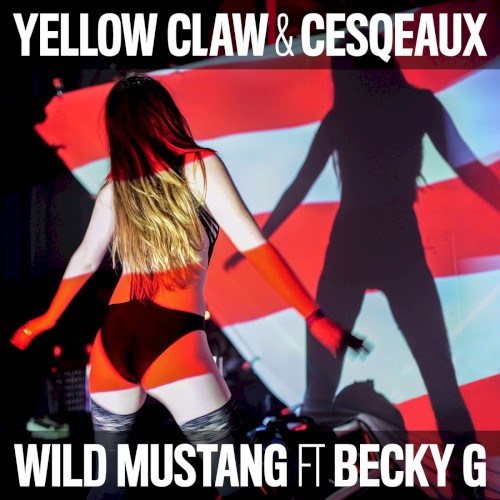 Wild Mustang封面