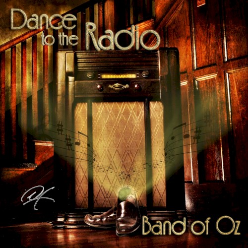 Dance to the Radio封面