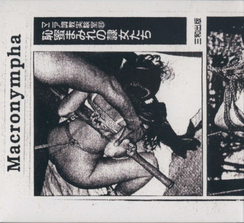 Whorechestra封面