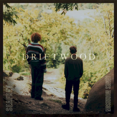 Driftwood封面