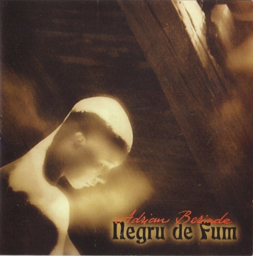 Negru de fum封面