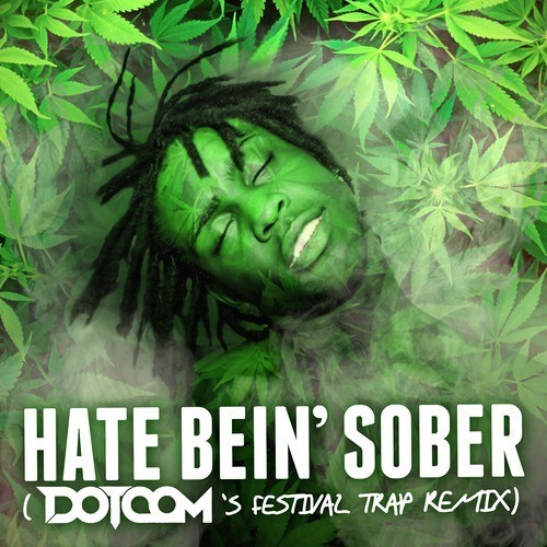 Hate Bein’ Sober (Dotcom Festival Trap remix)封面