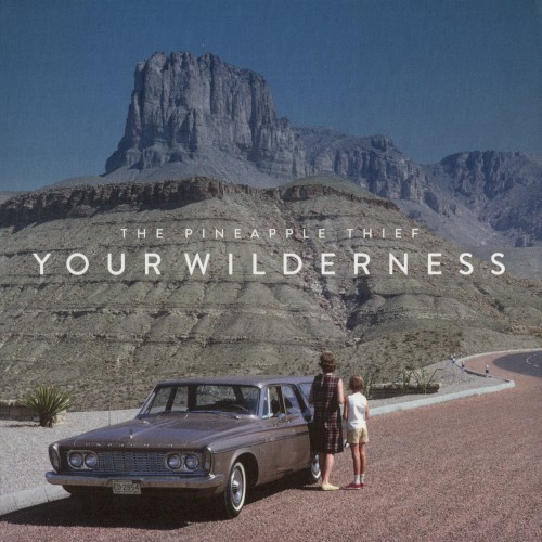 Your Wilderness封面