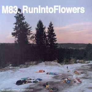 Run Into Flowers封面