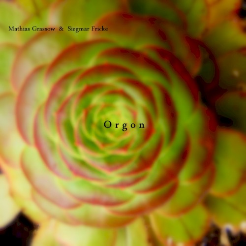 Orgon封面