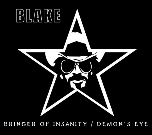 Bringer of Insanity封面