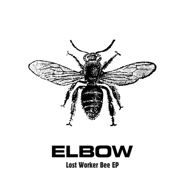 Lost Worker Bee EP封面