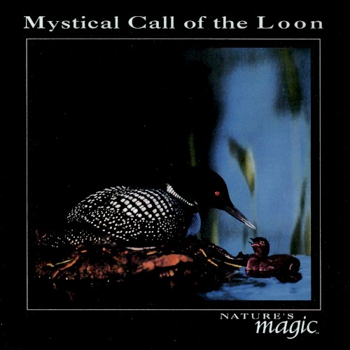 The Sounds of Nature: Mystical Call of the Loon封面