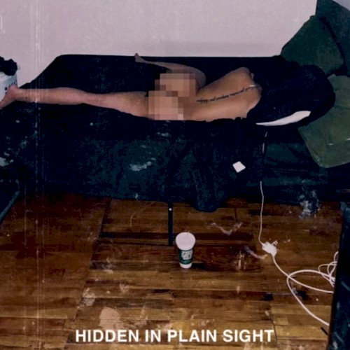 Hidden in Plain Sight封面