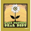Fake Flowers Real Dirt Rel#1封面