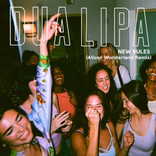 New Rules (Alison Wonderland Remix)封面