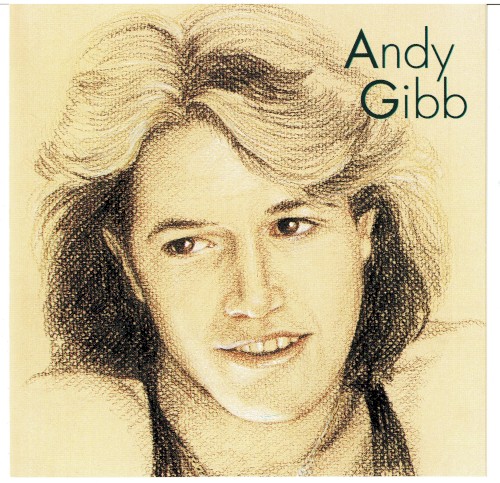 Andy Gibb封面