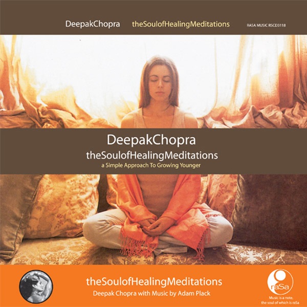 The Soul of Healing Meditations封面