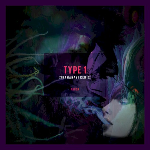 Type 1 (Shamanavi remix)封面