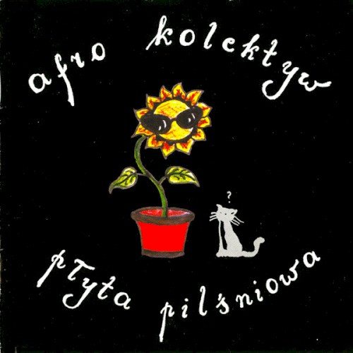 Płyta Pilśniowa封面