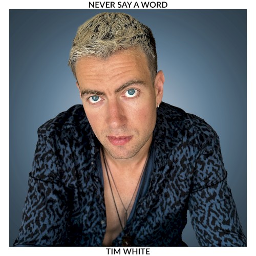 Never Say A Word封面