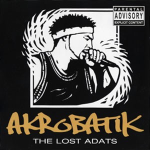 The Lost ADATs封面