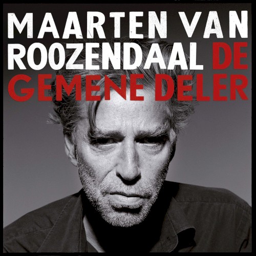 De gemene deler封面